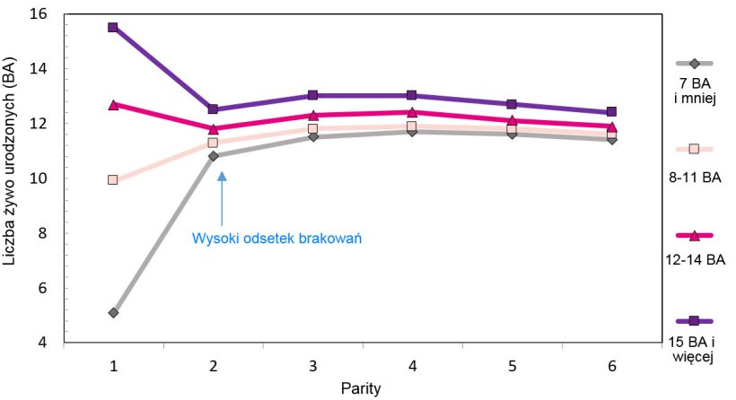 Graph 1. Production throughout the lifetime of the sow according to piglets born.